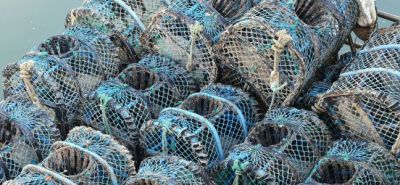 Fishing with traps