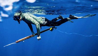 DIVE FISHING
