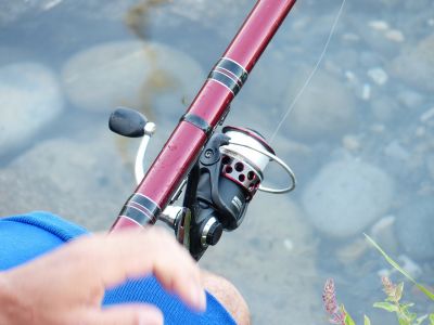 ANGLING - USING NATURAL BAIT
