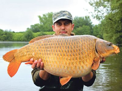The Ghost Carp