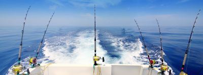 Tips on material for support fishing for sea bream
