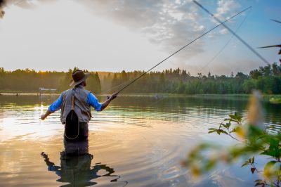 Tips on material for mullet fly fishing