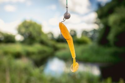 Fishing for pike with soft lure