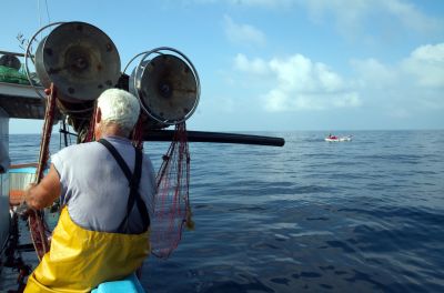 How to fish for sole at sea?