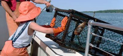 Trap fishing for lobster