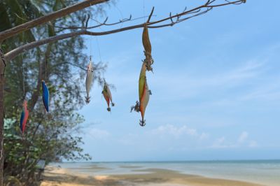 How to choose jig for squid fishing?