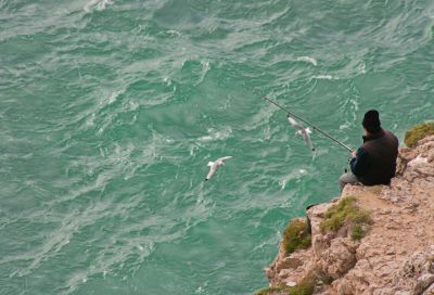 Where to fish for mullet ? 
