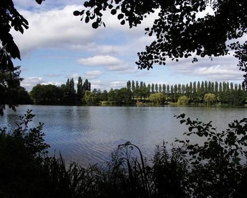 Découvrir l'Etang de Pesnel