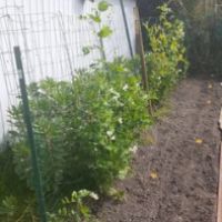 jean-christian.arpin