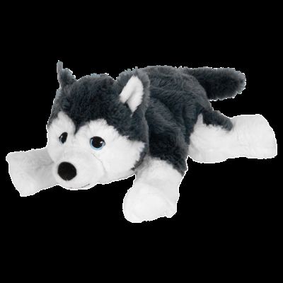 dpdog