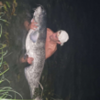 Gard à la pêcheuse