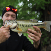 Brochet à la bouillette 