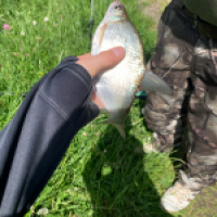 Brochet du 42